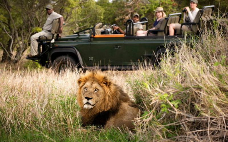 Kruger-National-Park-Complete-Guide-South-Africa.jpg
