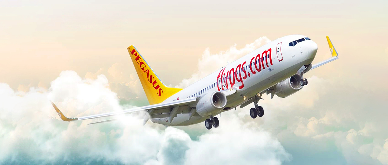Airlines-Pegasus 1.jpg