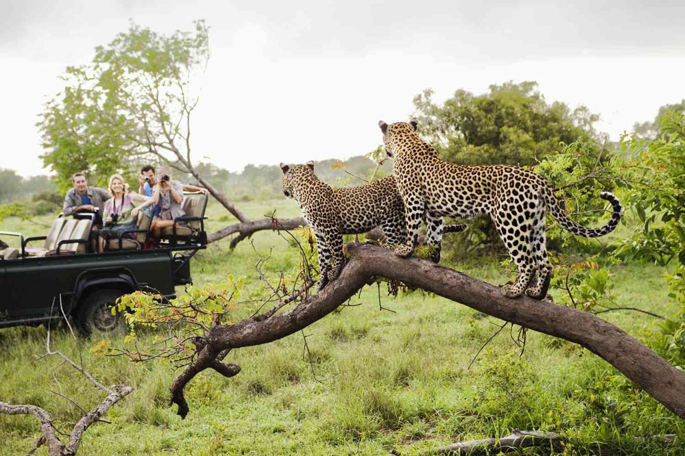 Kruger_National_Park.jpg