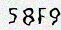 captcha code
