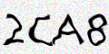 captcha code