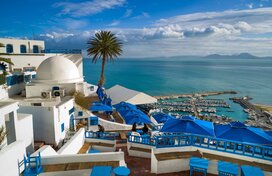 تور تونس (لوکس سواحل)